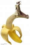 SAGING