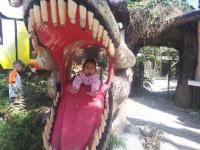 Dino Moshi