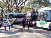 Bus in Clark 2