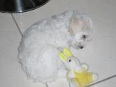 mardy_003@yahoo.com